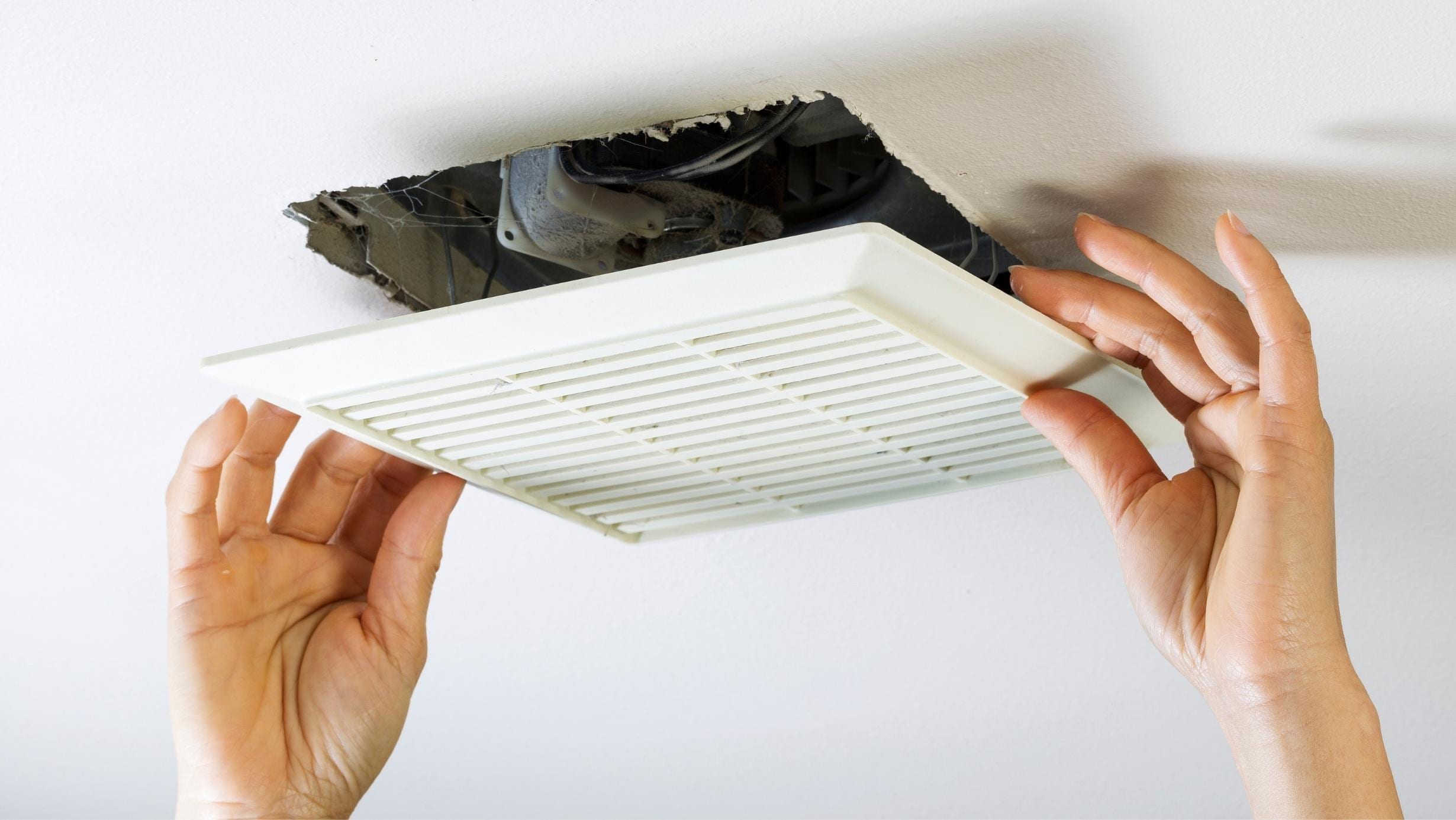 The Healthy Homes Ventilation Standard: Preparing Your Property